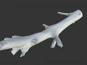 Realistic tree trunks with branches 3D Model
