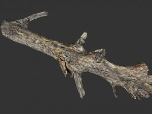 Realistic tree trunks with branches 3D Model