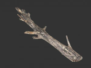 Realistic tree trunks with branches 3D Model