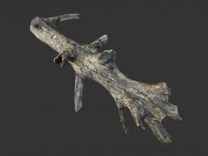 Realistic tree trunks with branches 3D Model