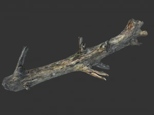 Realistic tree trunks with branches 3D Model