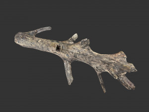 Realistic tree trunks with branches 3D 모델