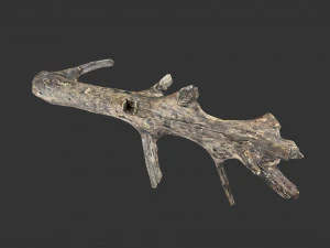 Realistic tree trunks with branches 3D Model