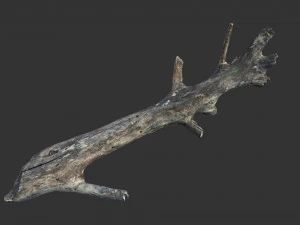 Realistic tree trunks with branches 3D Model