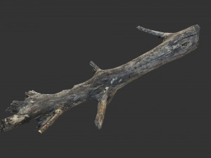 Realistic tree trunks with branches 3D 모델