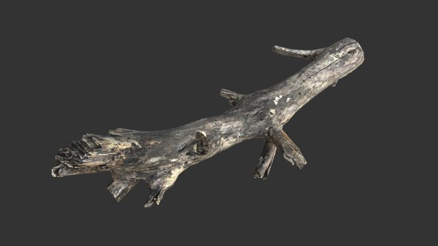Realistic tree trunks with branches 3D 모델 .c4d .max .obj .3ds .fbx .stl .blend 