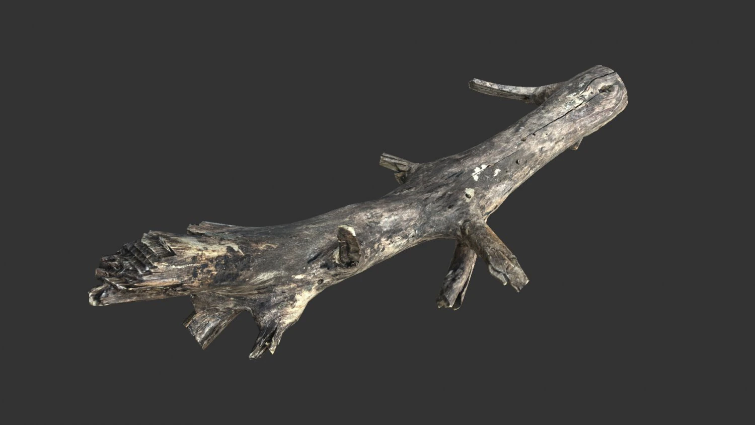 Realistic tree trunks with branches 3D Model .c4d .max .obj .3ds .fbx .stl .blend 