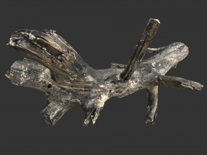 Realistic tree trunks with branches 3D 모델