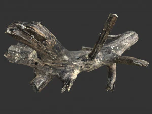 Realistic tree trunks with branches 3D Model