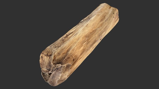 3D Scan Realistic tree timber 3D Модель .c4d .max .obj .3ds .fbx .stl .blend 