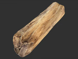 Madeira de &aacute;rvore realista de digitaliza&ccedil;&atilde;o 3D Modelo 3D