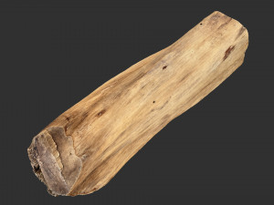 3D Scan Realistic tree timber 3D Модель