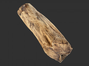 3D Scan Realistic tree timber 3D Модель