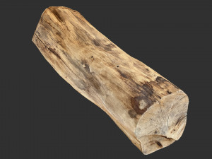 3D Scan Realistic tree timber 3D Модель