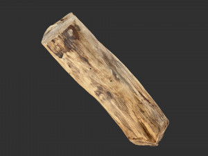 3D Scan Realistic tree timber 3D Модель