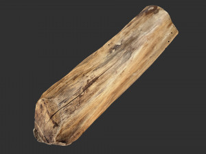 3D Scan Realistic tree timber 3D Модель