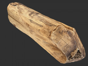 3D Scan Realistic tree timber 3D Модель