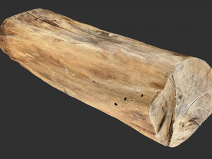 3D Scan Realistic tree timber 3D Модель