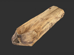 3D Scan Realistic tree timber 3D Модель