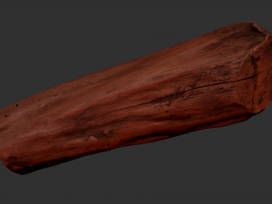 3D Scan Realistic tree timber 3D Модель