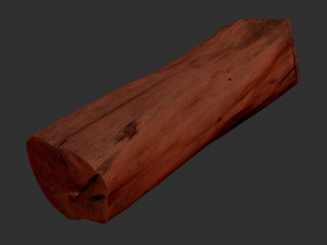 3D Scan Realistic tree timber 3D Модель