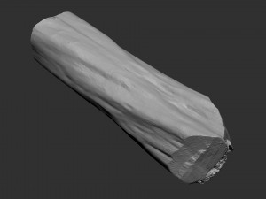 3D Scan Realistic tree timber 3D Модель