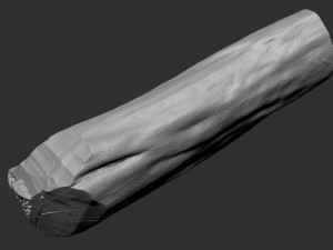3D Scan Realistic tree timber 3D Модель