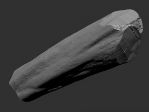 3D Scan Realistic tree timber 3D Модель