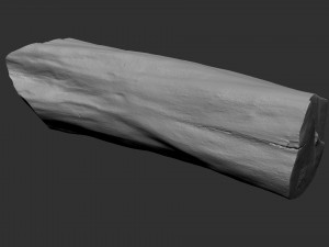 3D Scan Realistic tree timber 3D Модель