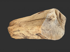 3D Scan Realistic tree timber 3D Модель