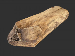 3D Scan Realistic tree timber 3D Модель
