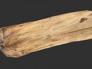 3D Scan Realistic tree timber 3D Модель