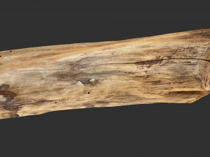 3D Scan Realistic tree timber 3D Модель