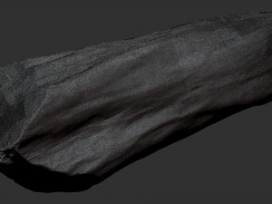 3D Scan Realistic tree timber 3D Модель