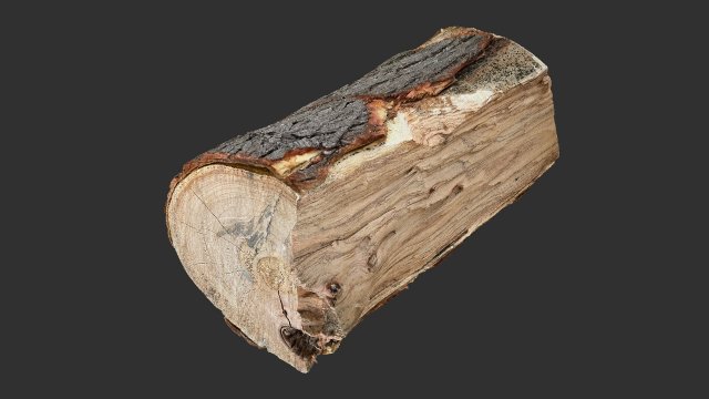 3D Scan tree trunk in highpoly Modèle 3D .c4d .max .obj .3ds .fbx .stl .blend 