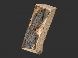 3D Scan tree trunk in highpoly Modèle 3D