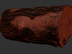 3D Scan tree trunk in highpoly Modèle 3D