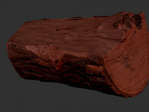 3D Scan tree trunk in highpoly Modèle 3D