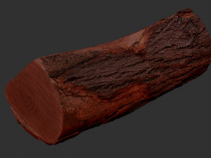 3D Scan tree trunk in highpoly Modèle 3D