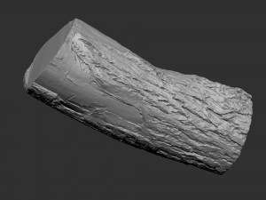 3D Scan tree trunk in highpoly Modèle 3D