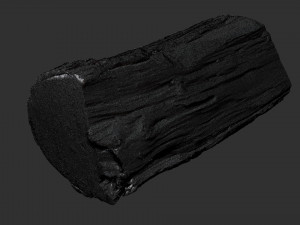 3D Scan tree trunk in highpoly Modèle 3D