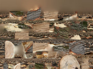 3D Scan tree trunk in highpoly Modèle 3D