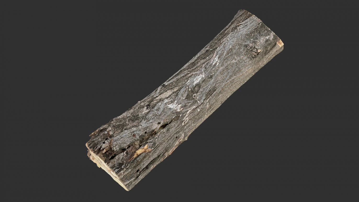 3d scan tree trunk in highpoly 3D Model .c4d .max .obj .3ds .fbx .stl .blend 