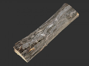 3d scan tree trunk in highpoly Modelo 3D