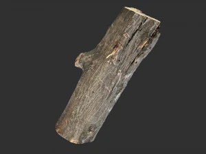 3d scan tree trunk in highpoly 3D Model