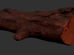 3d scan tree trunk in highpoly 3D Model