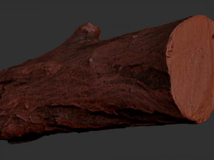 3d scan tree trunk in highpoly 3D Model