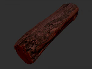 3d scan tree trunk in highpoly 3D Model