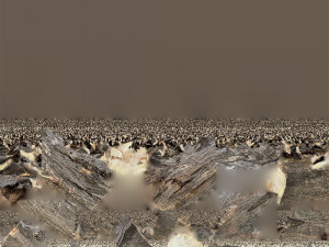 3d scan tree trunk in highpoly 3D 모델