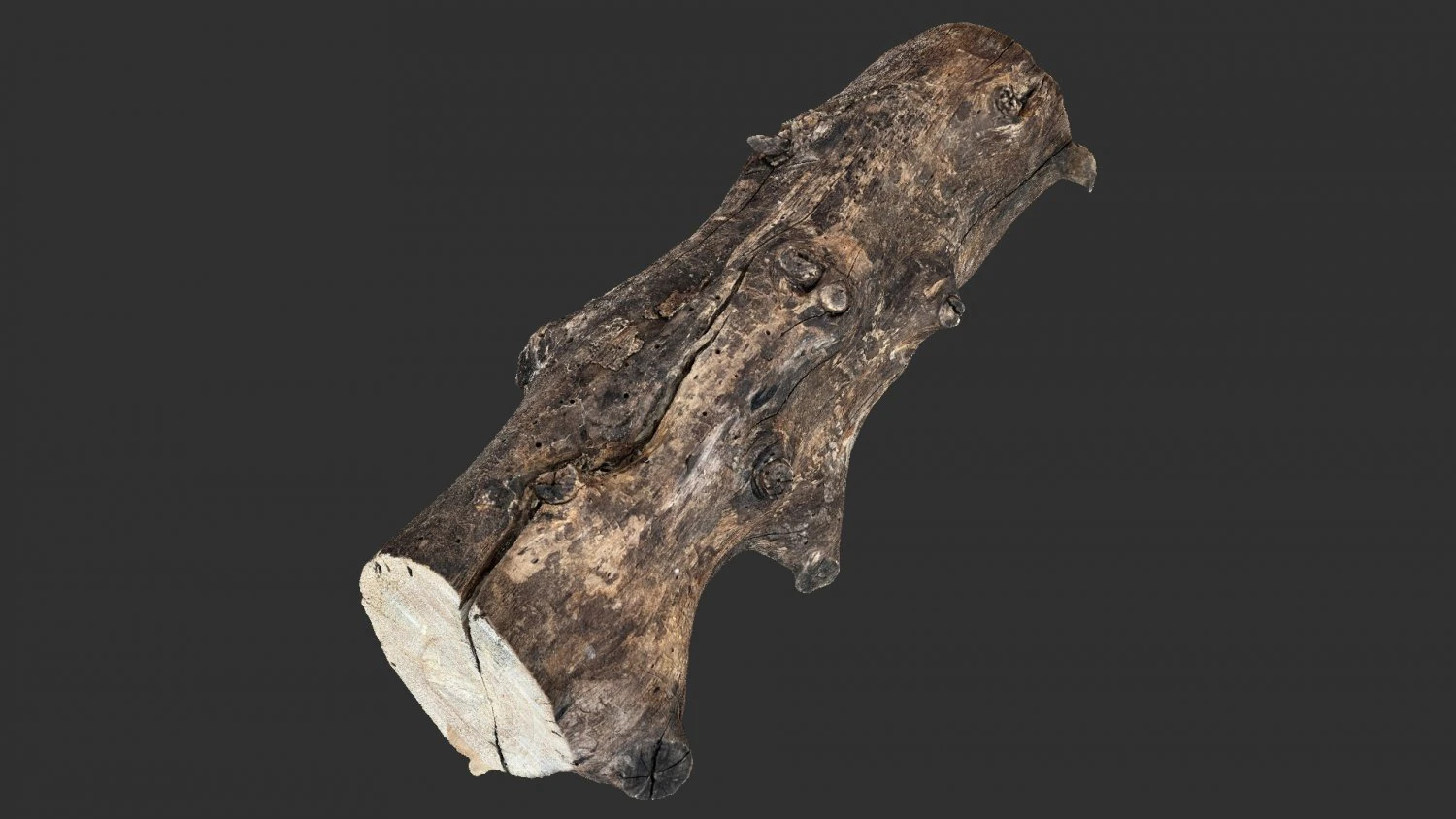 Withered tree trunk 3d scan in highpoly 3D Model .c4d .max .obj .3ds .fbx .stl .blend 